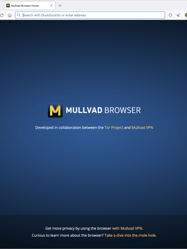 What Sets Mullvad Browser Apart?